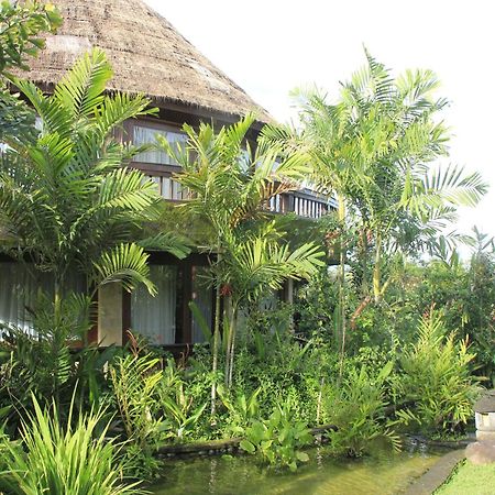 Taman Wana Resort Palasari Negara  Extérieur photo